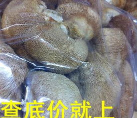 一德路海味干貨批發 優質中等規格干猴頭菇，足干色好，海味市場好貨供應