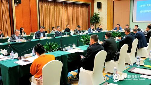 攜手云陽(yáng)，數(shù)據(jù)賦能 重慶科技服務(wù)大市場(chǎng)助力大數(shù)據(jù)產(chǎn)業(yè)招商新篇章